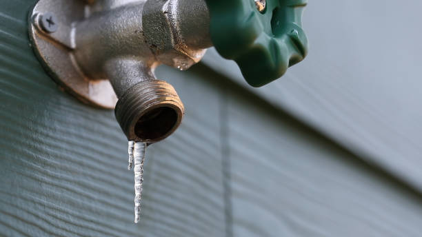 Best Plumbing Inspection Services  in Mount Pleasant, SC